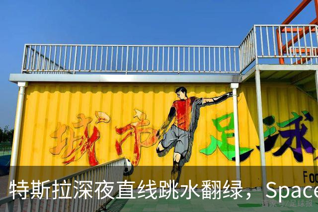 特斯拉深夜直线跳水翻绿，SpaceX市值蒸发近2700亿元，苹果拉升，iPhone Duo发货已排到明年，纳指短线下挫300点